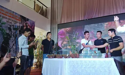 Bong bóng lan Phi điệp: Khi thú chơi tao nhã sặc mùi tiền